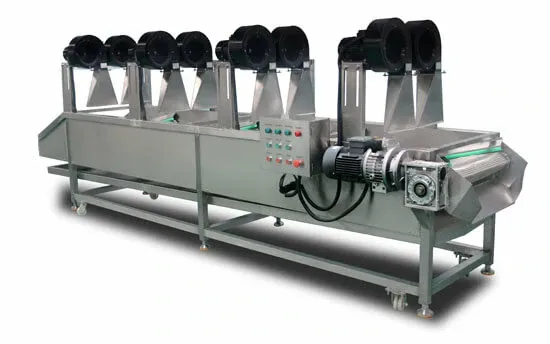 Deshidratadora y Desengrasadora Continua de Chips de Patata 1 Rotary Drum Chips Flavoring Machine